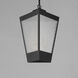 Triform 3 Light 14 inch Black and Antique Brass Outdoor Pendant