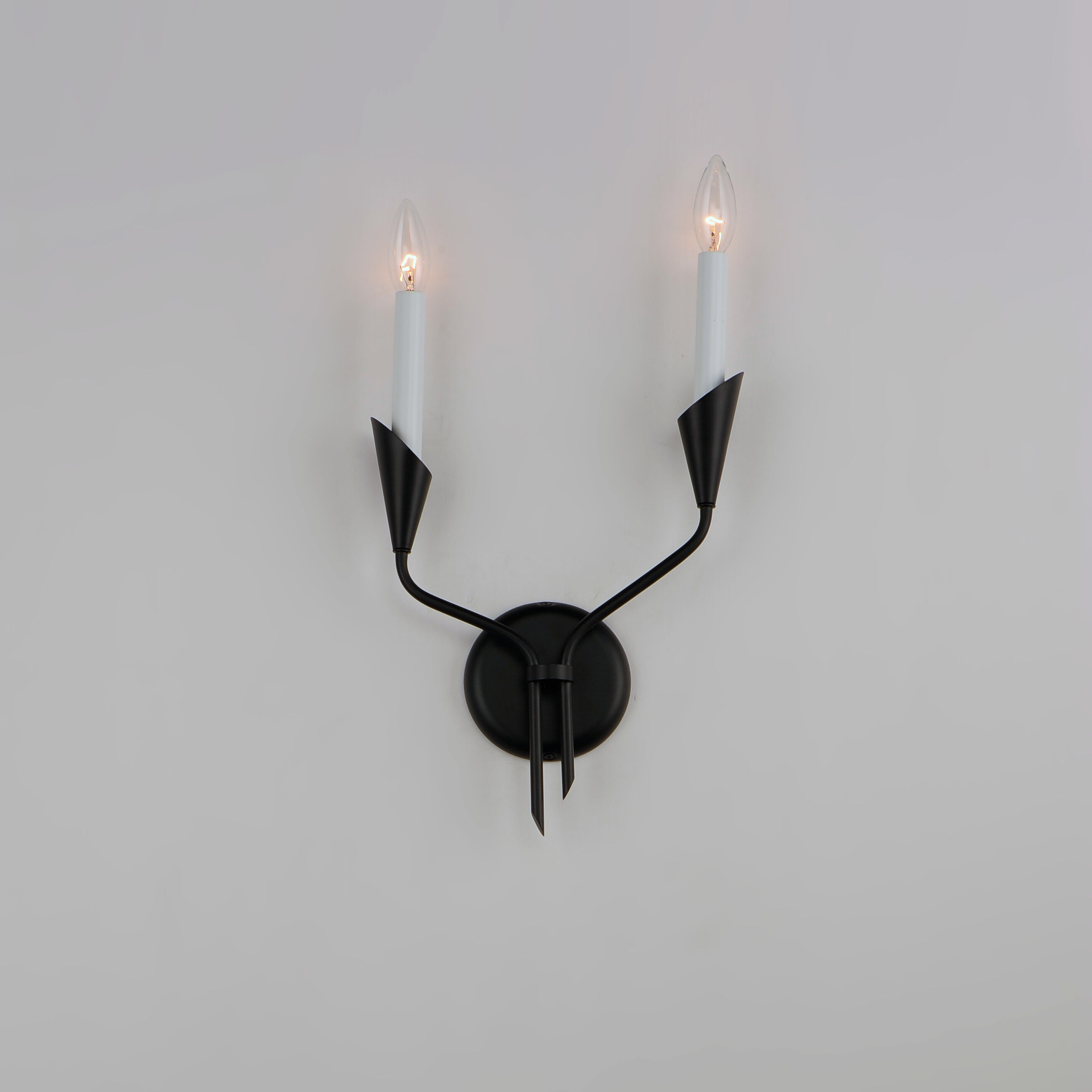 Calyx Wall Sconce Wall Light