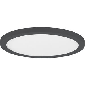 Chip - 5CCT Black Utility Items