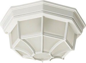 Crown Hill 2 Light 11 inch White Outdoor Ceiling Mount
