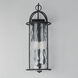 Del Mar 3 Light 30 inch Blacksmith Outdoor Wall Mount in Water