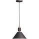 Tucson 1 Light 11.25 inch Oil Rubbed Bronze and Weathered Wood Single Pendant Ceiling Light