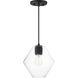 Geode 1 Light 9.5 inch Black Single Pendant Ceiling Light