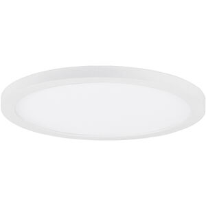 Chip - 5CCT White Utility Items