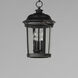 Dover DC 3 Light 10 inch Bronze Outdoor Hanging Lantern