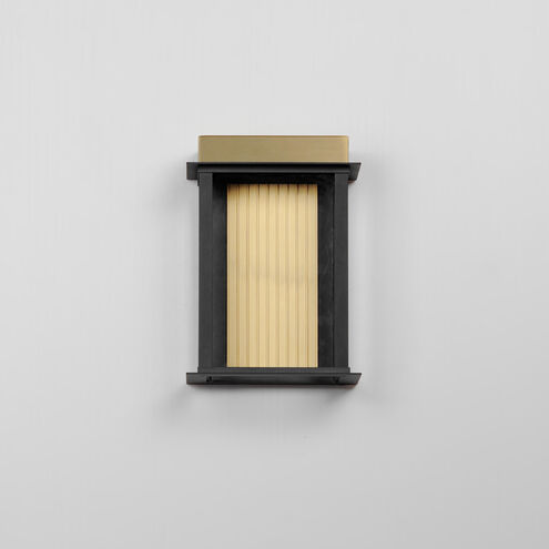 Rincon LED 10 inch Black / Gold Outdoor Wall Mount