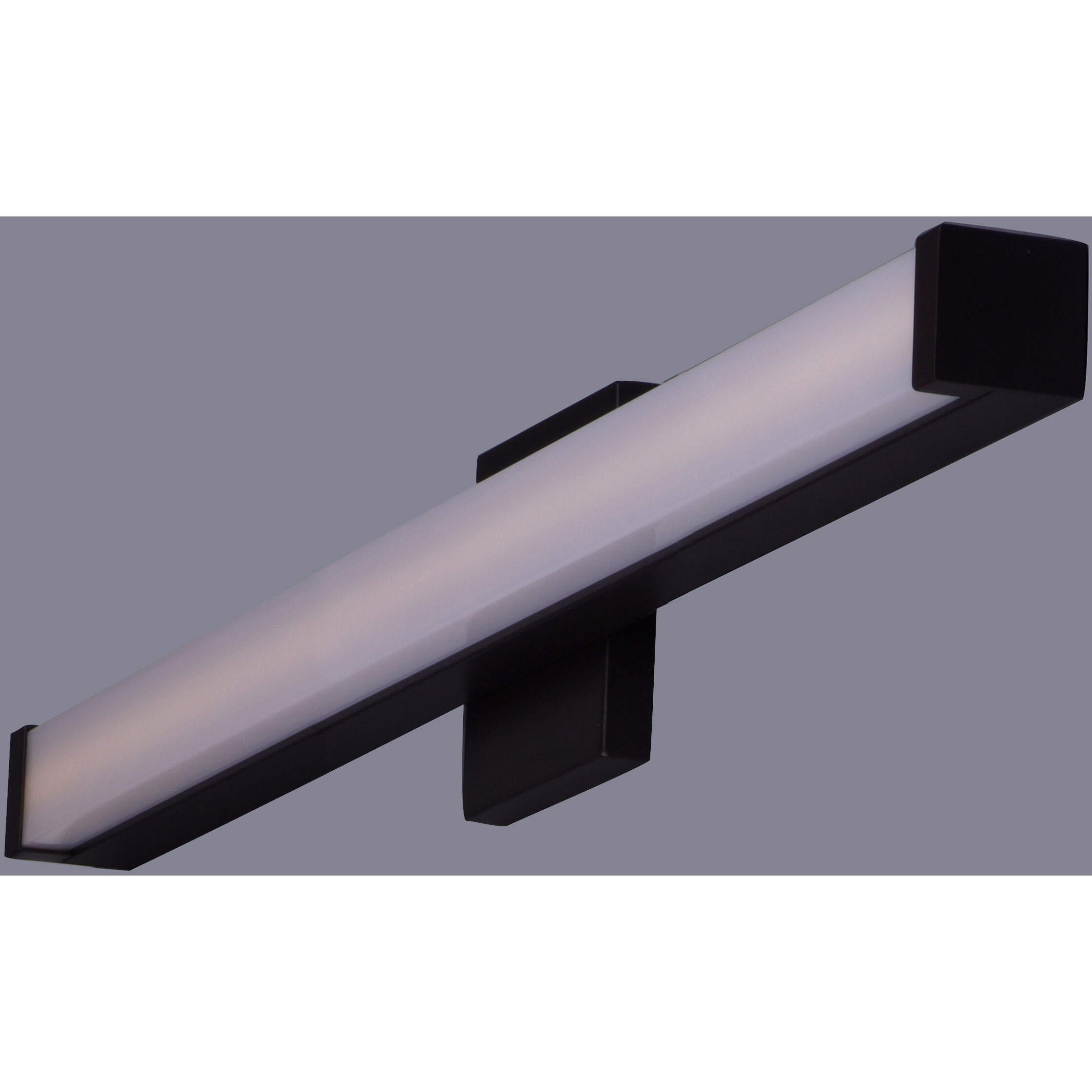 Spec Vanity LED 24 inch Bronze Bath Vanity Wall Light