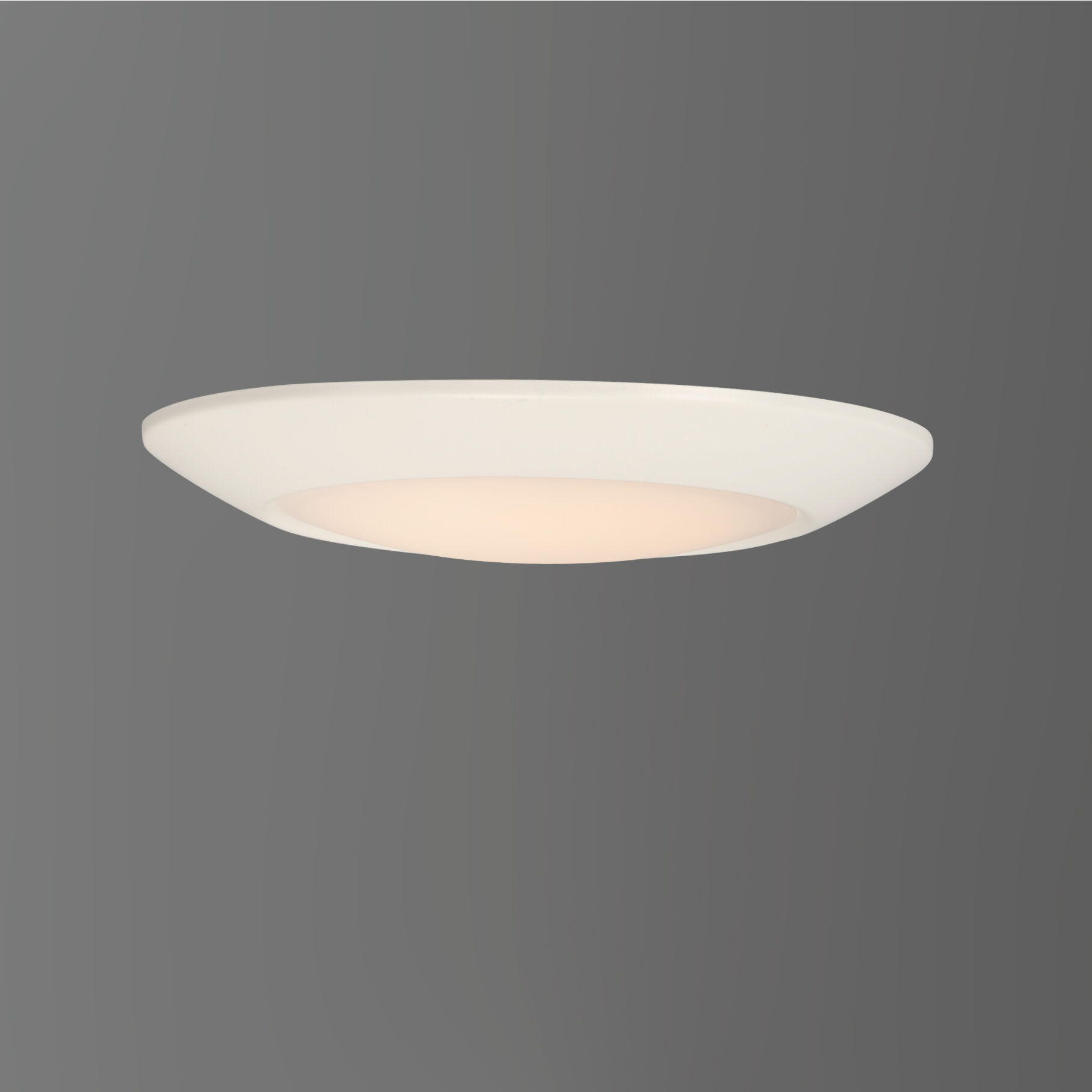 Diverse LED LED 9 inch White Flush Mount Ceiling Light