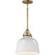Hollis 1 Light 12.00 inch Pendant