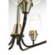 Goblet 5 Light 23 inch Black/Satin Nickel Chandelier Ceiling Light in Black and Satin Nickel