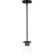Corona 1 Light 5 inch Black Mini Pendant Ceiling Light in Clear