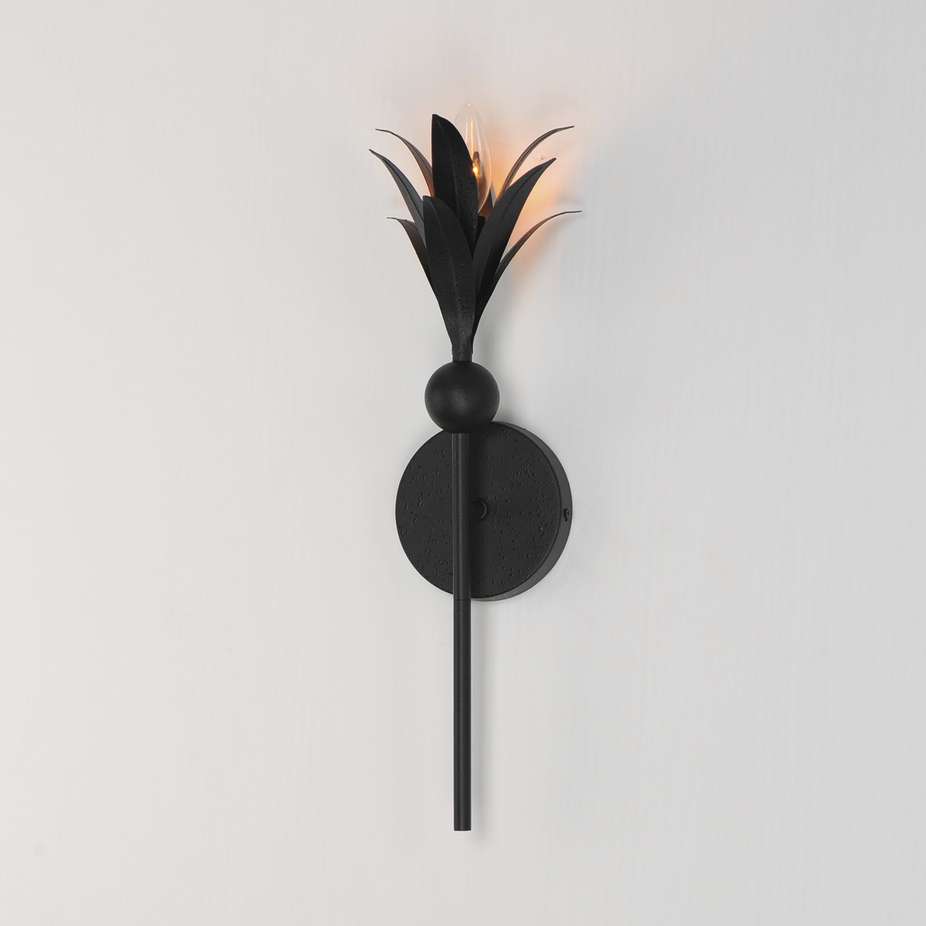 Paloma 1 Light 4.75 inch Anthracite Wall Sconce Wall Light