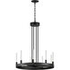 Ovation LED 23.5 inch Black Single-Tier Chandelier Ceiling Light