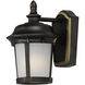 Dover LED 9.5 inch Bronze Outdoor Wall Mount