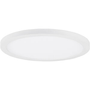 Chip - 5CCT White Utility Items