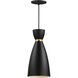 Carillon 1 Light 7 inch Black with Satin Brass Mini Pendant Ceiling Light in Black and Satin Brass, Elongated