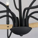 Franklin 9 Light 40 inch Driftwood and Black Chandelier Ceiling Light