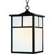 Coldwater 1 Light 9.00 inch Outdoor Pendant/Chandelier