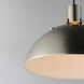 Dawn 1 Light 15.25 inch Satin Nickel Single Pendant Ceiling Light