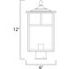 Coldwater 1 Light 12 inch Black Outdoor Pole/Post Mount in White
