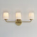 Durham 3 Light 23 inch Natural Aged Brass Bath Vanity Wall Light