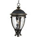Camden VX 3 Light 13 inch Golden Bronze Outdoor Hanging Lantern