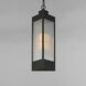 Triform 1 Light 7.5 inch Black and Antique Brass Outdoor Pendant