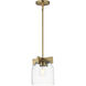 Scoop 1 Light 8 inch Natural Aged Brass Single Pendant Ceiling Light in Clear
