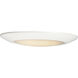 Diverse 1 Light 11.00 inch Flush Mount