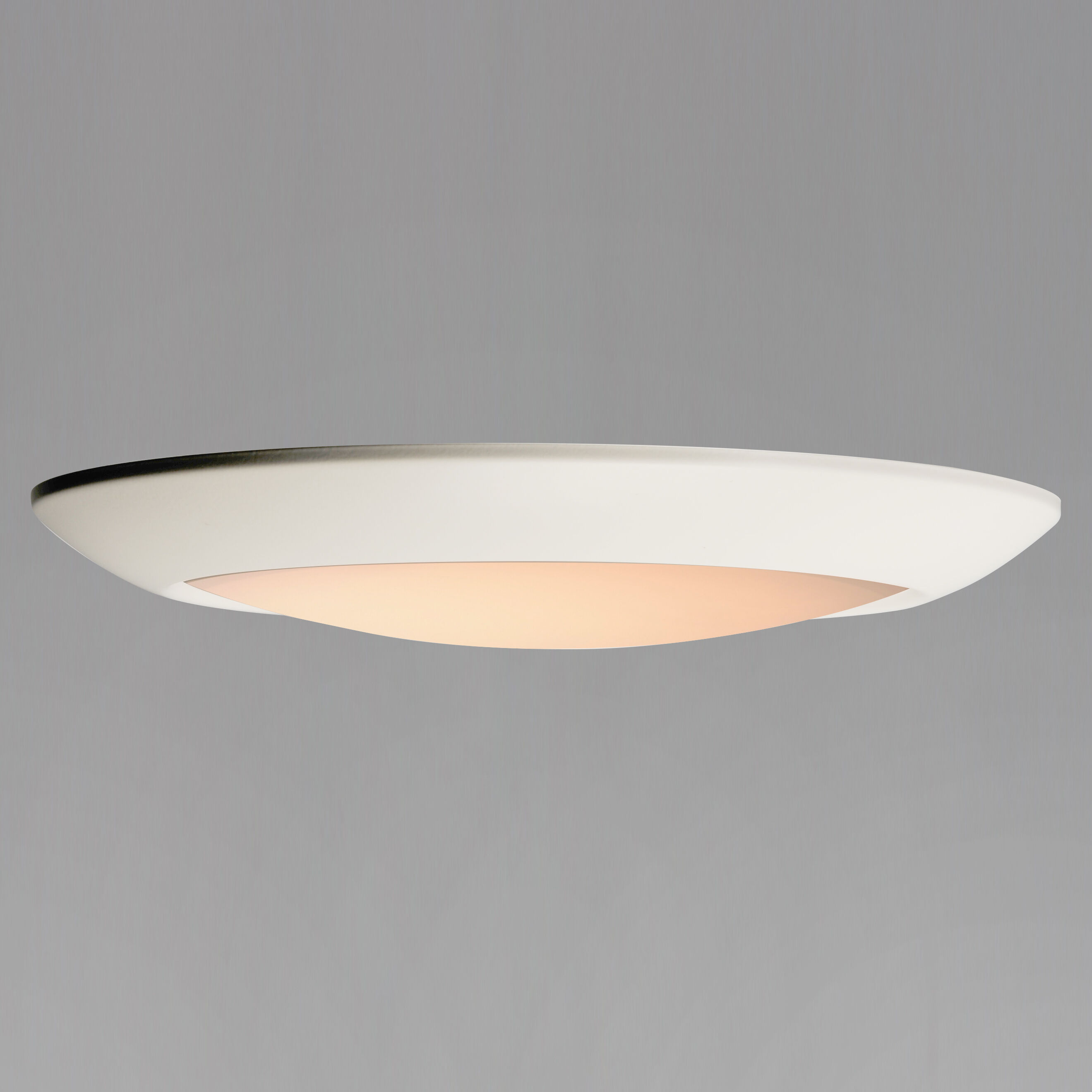Diverse LED LED 13 inch White Flush Mount Ceiling Light