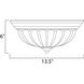 Essentials 583x 2 Light 14 inch Black Flush Mount Ceiling Light