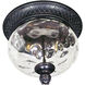 Carriage House VX 2 Light 12 inch Oriental Bronze Outdoor Flush Mount
