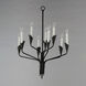 Calyx 9 Light 24.5 inch Black Chandelier Ceiling Light