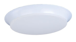 Profile EE LED 16 inch White Flush Mount Ceiling Light