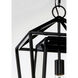 Artisan 1 Light 12 inch Black Outdoor Hanging Lantern