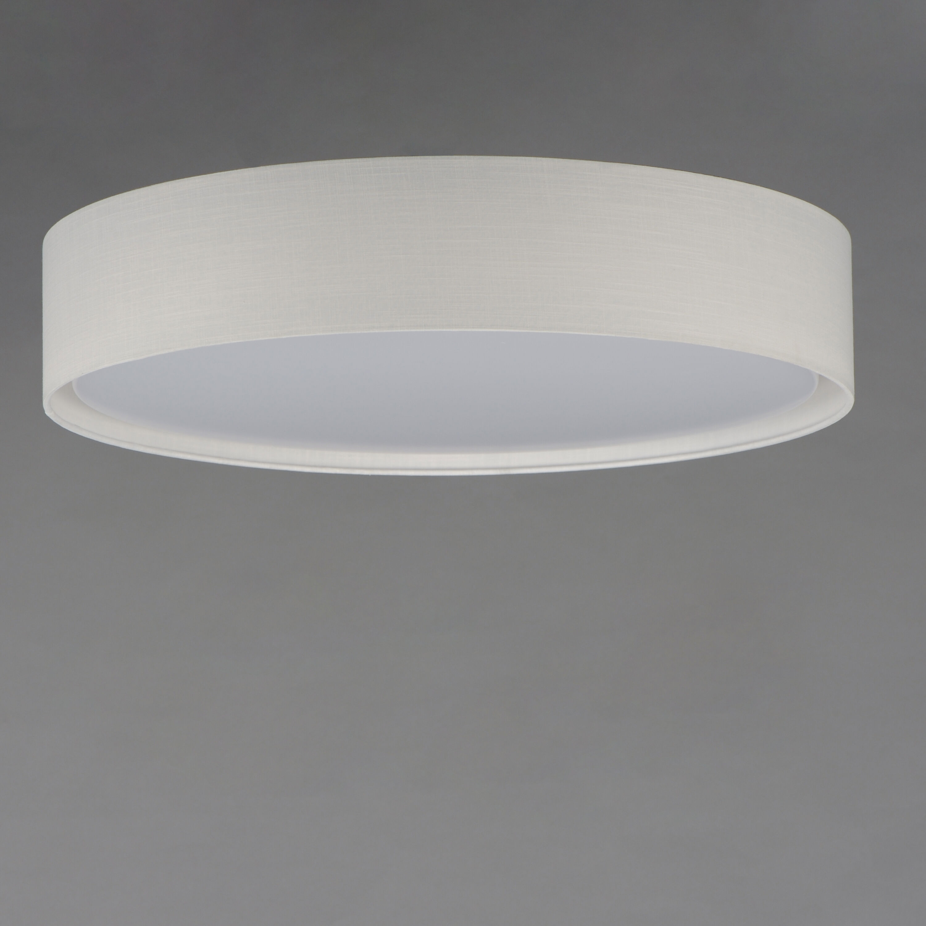 Prime LED 25 inch Flush Mount Ceiling Light