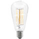 Glow Incandescent E26 Medium ST64 E26 Medium ST64 60.00 watt 120 2200K Bulb 