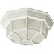 Crown Hill 2 Light 10.75 inch White Outdoor Flush Mount