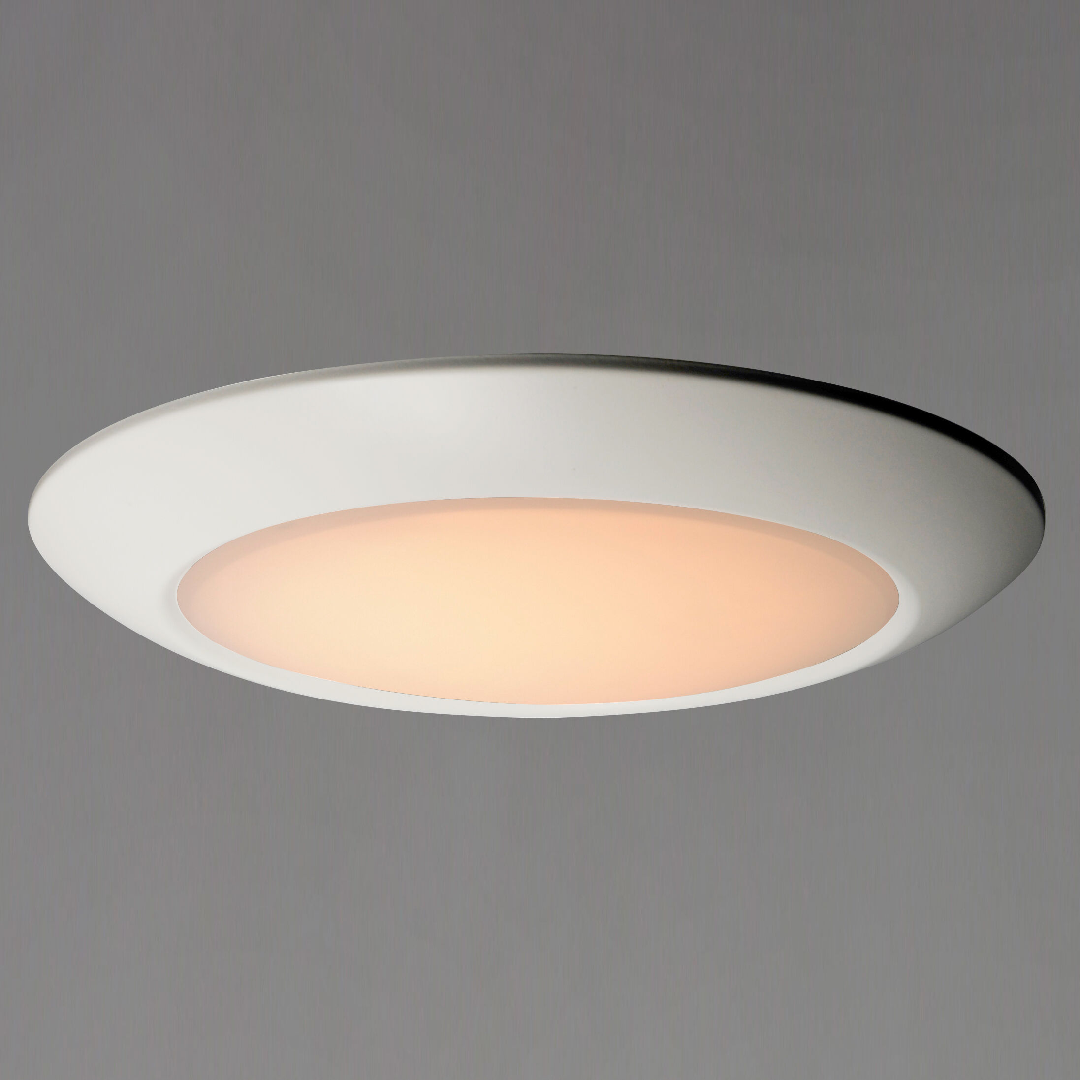 Diverse LED LED 13 inch White Flush Mount Ceiling Light