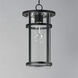 Clyde Vivex 1 Light 9 inch Black Outdoor Pendant