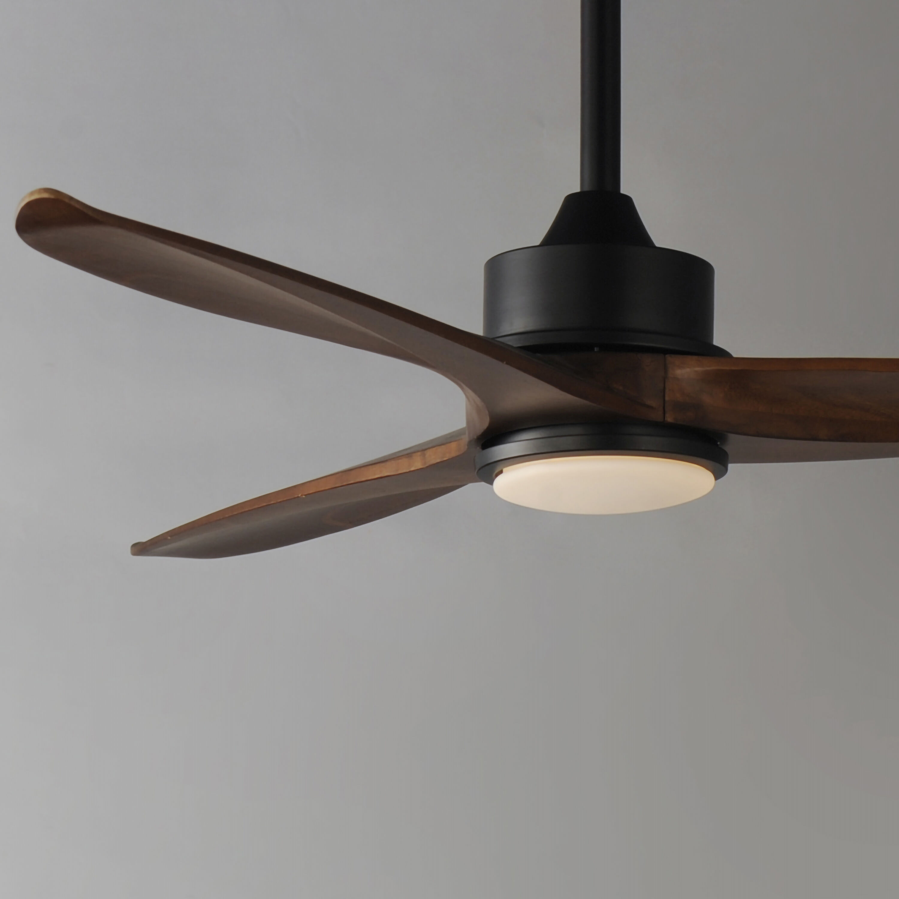 Woodwind 52 inch Black Indoor Ceiling Fan