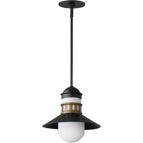 Admiralty 1 Light 12.00 inch Outdoor Pendant/Chandelier