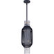 Aviary LED 9 inch Anthracite Single Pendant Ceiling Light