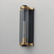 Opulent 1 Light 14 inch Black and Antique Brass Outdoor Wall Mount