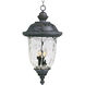 Carriage House DC 3 Light 12.5 inch Oriental Bronze Outdoor Hanging Lantern