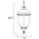 Knob Hill DC 3 Light 13 inch Sienna Outdoor Hanging Lantern