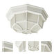 Crown Hill 2 Light 10.75 inch White Outdoor Flush Mount