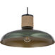 Bingham 1 Light 17 inch June Bug Single Pendant Ceiling Light