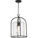 Del Mar 1 Light 13 inch Blacksmith Outdoor Pendant in Water
