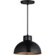 Rockport 1 Light 10 inch Black and Antique Copper Single Pendant Ceiling Light